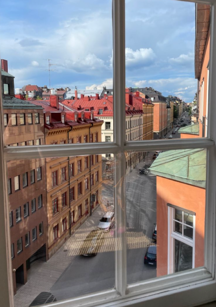 Den Stockholmska Minimalisten