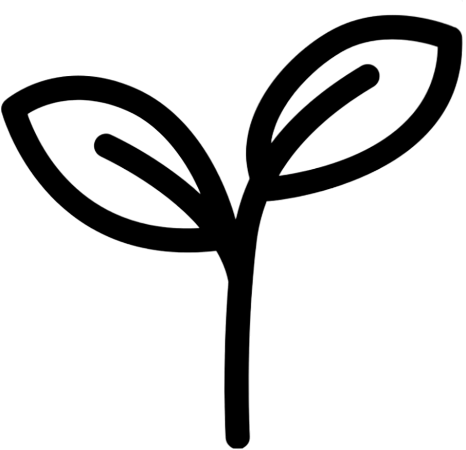 Alt Image